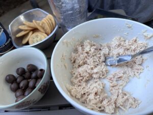 Read more about the article Garlic Salt Chicken Spread